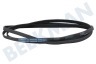 LG Trockner 300793, C00300793 Keilrippenriemen 6PHE 1991 H6