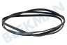 Ariston-Blue Air Trockner 300793, C00300793 Keilrippenriemen 6PHE 1991 H6