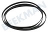 Friac Trockner Keilrippenriemen 6PH 1965