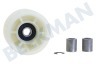 Whirlpool Trockner Spannrolle Kunststoff, 8mm Achse