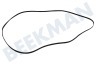 Schulthess Trockner 00650499 Keilrippenriemen 1995 PH7