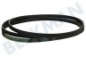 Neff Trockner 753220, 00753220 Keilrippenriemen 7 PH 1992 H7