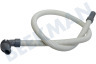 Hoover Trockner Ablaufschlauch