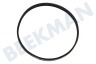 Beko Trockner Riemen 4 PHE 285