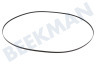 ASKO Trockner Keilrippenriemen 7PH 1956 Hutchinson