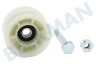 Bauknecht Trockner Spannrolle mit Befestigungsmaterial