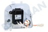 Indesit Trockner Pumpe Ablaufpumpe, 13W