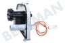 Bauknecht Trockner Pumpe Kondenzpumpe