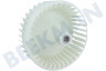 Alternative Lüfterrad vom Ventilator