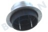 Rex Trockner Temperatursensor, NTC