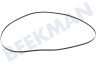 Electrolux Trockner Keilrippenriemen 7PH 1930 H7
