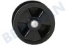 No brand Trockner Spannrolle Breit: 22x50, Achse 8mm
