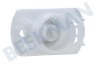 Zanussi Trockner Ventil Flansch von Wassertank
