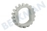 Corbero Spülmaschine 1527142002 Antriebsrad des Stellfußes