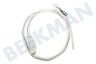 Pelgrim Spülmaschine 00299756 Schlauch Zulaufschlauch -inkl. Ventil 150cm