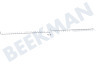 Siemens Spülmaschine 443403, 00443403 Tellerhalter