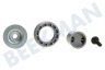 Profilo Spülmaschine 00188096 Rad für Führungsschiene