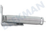 Küppersbusch Spülmaschine 00165891 Feder für Tür, 12 cm lang