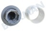 Constructa Spülmaschine 17008311 Sieb Mikrofilter dreiteilig
