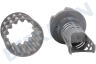 Profilo Spülmaschine 645038, 00645038 Mikrofilter für Geschirrspüler