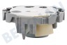 Constructa Spülmaschine 00644996 Wasserweiche