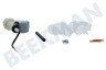 Balay Spülmaschine 00645701 Einlassventil Aquastop einzeln, mit Gehäuse