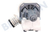 Candy Spülmaschine Pumpe Ablaufpumpe, Magnet -Plaset-