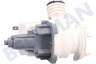 Candy Spülmaschine Pumpe Ablaufpumpe, Magnet -Plaset-