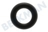 Indesit Spülmaschine O-Ring
