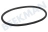 Whirlpool Spülmaschine Dichtungsgummi