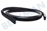 Hotpoint Spülmaschine 345554, C00345554 Dichtungsgummi rundum