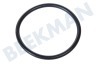Whirlpool Spülmaschine Dichtring von Niveaukammer
