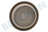 Whirlpool Spülmaschine Verschluss Verschlusskappe -weiß- 6,3cm