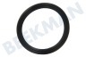 Whirlpool Spülmaschine Dichtungsgummi des Salzbehälterdeckels