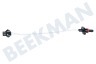 Upo Spülmaschine Thermostat Thermostatfühler