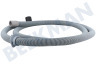 Boretti Spülmaschine Schlauch Ablaufschlauch rechtwinkliger Anschluss, Ausläufe 35-23mm