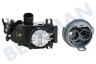 Gorenje Spülmaschine Wasserweiche Wasserwechsel Motor