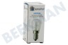 Lloyds Kühlschrank Lampe 15W E14 -Kühlschrank-