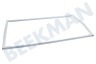 Zanussi Kühlschrank Dichtungsgummi Weiß 969,5x516,5mm