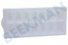 Bomann Kühlschrank Schale für 14 Eiswürfel