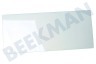 Seaway Kühlschrank Glasplatte