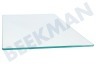 Seaway Kühlschrank Glasplatte