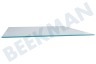 Electrolux Kühlschrank 2249121043 Glasplatte