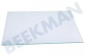 Electrolux Kühlschrank 2249121043 Glasplatte