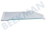 Zanussi Kühlschrank 2251639205 Glasplatte komplett