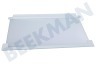 Zanussi Kühlschrank 2251639205 Glasplatte komplett
