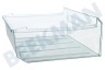 Arthur martin elux Kühlschrank Gefrier-Schublade Transparent 405x368x165mm