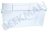 Leonard Kühlschrank Gefrier-Schublade Transparent 405x216mm