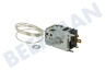 Curtiss Kühlschrank Thermostat Danfoss 077B3505 Kapillare 68 cm