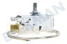 San Giorgio Kühlschrank Thermostat 3 Kontakte K59-L2076